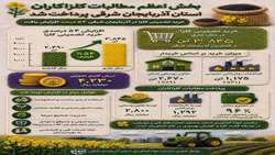 رشد ۵۴ درصدی خرید تضمینی کلزا در آذربایجان شرقی